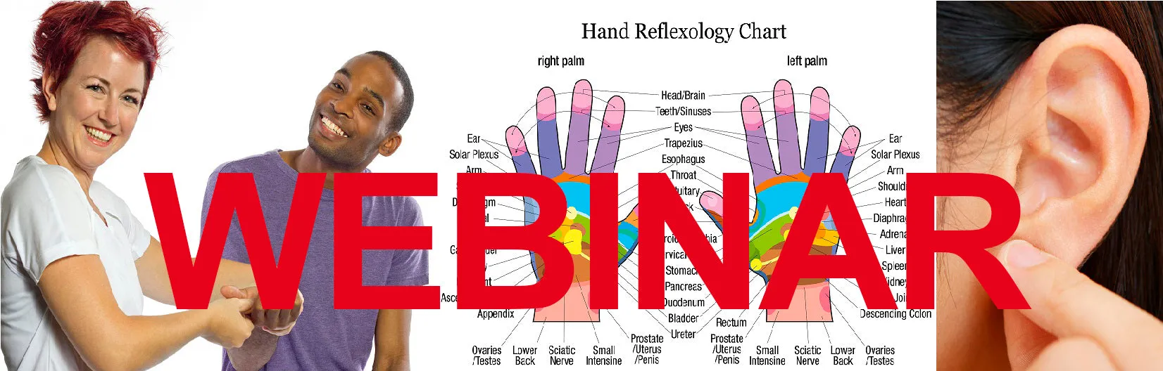 6 CE Hour Hand & Ear Reflexology (Computer-based Live Interactive Webinar)