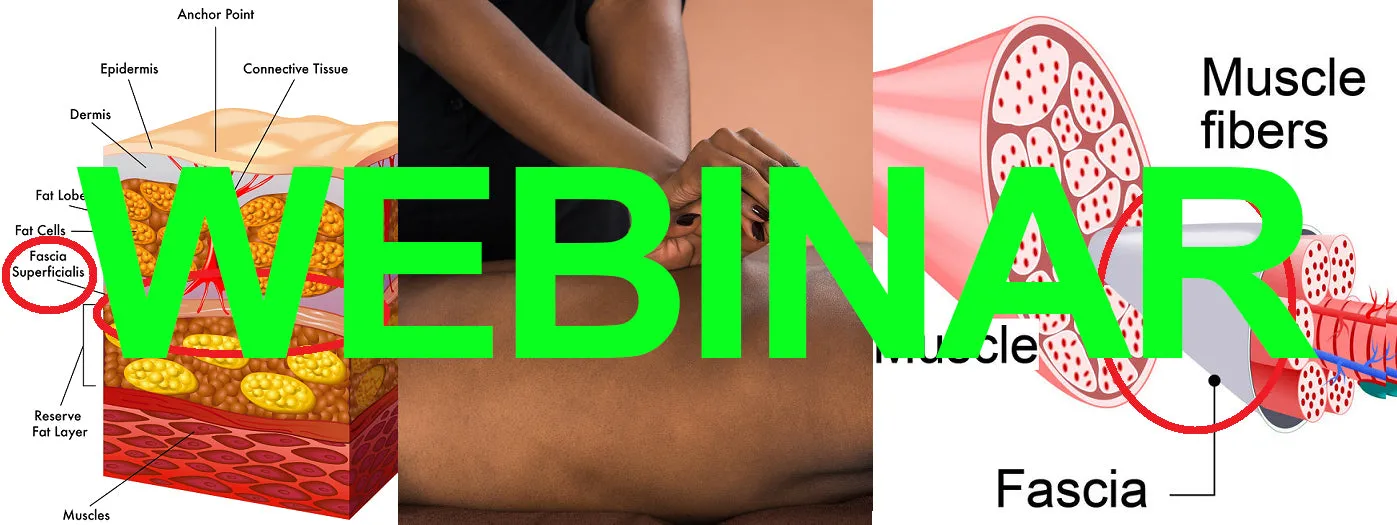 6 CE Hour Myofascial Release (Computer-Based Live Interactive Webinar)