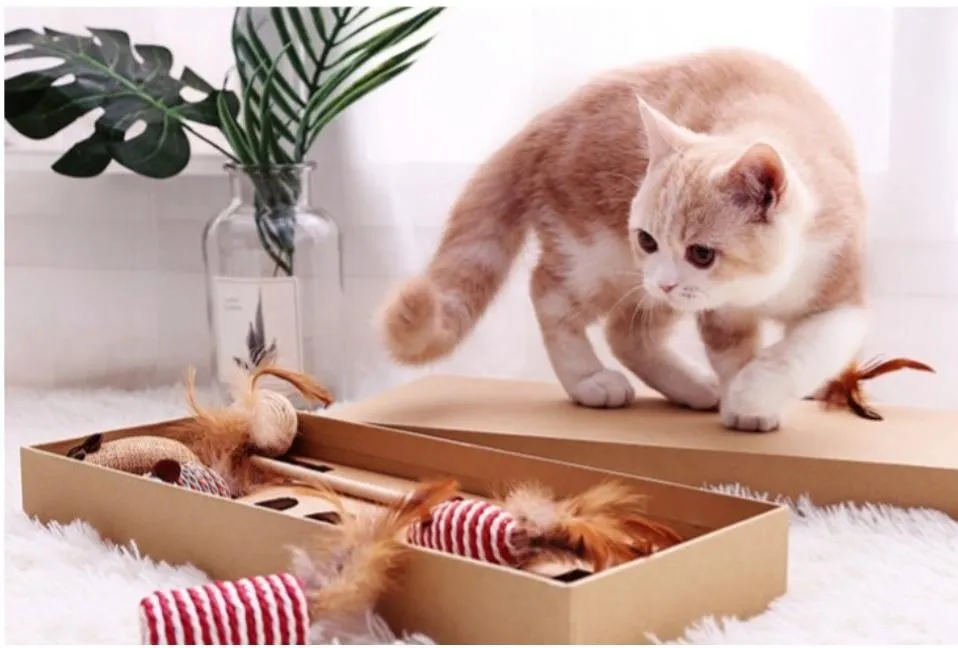 7-in-1 Set Cat Toys Pack