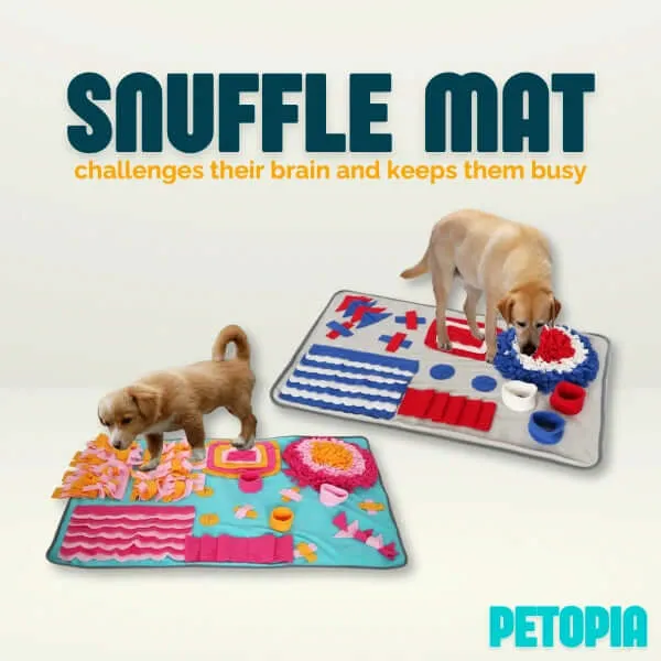 Dog Snuffle Mat Puzzle Toy