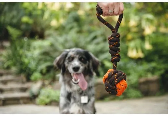 Dog Toy Tug Ball Rope