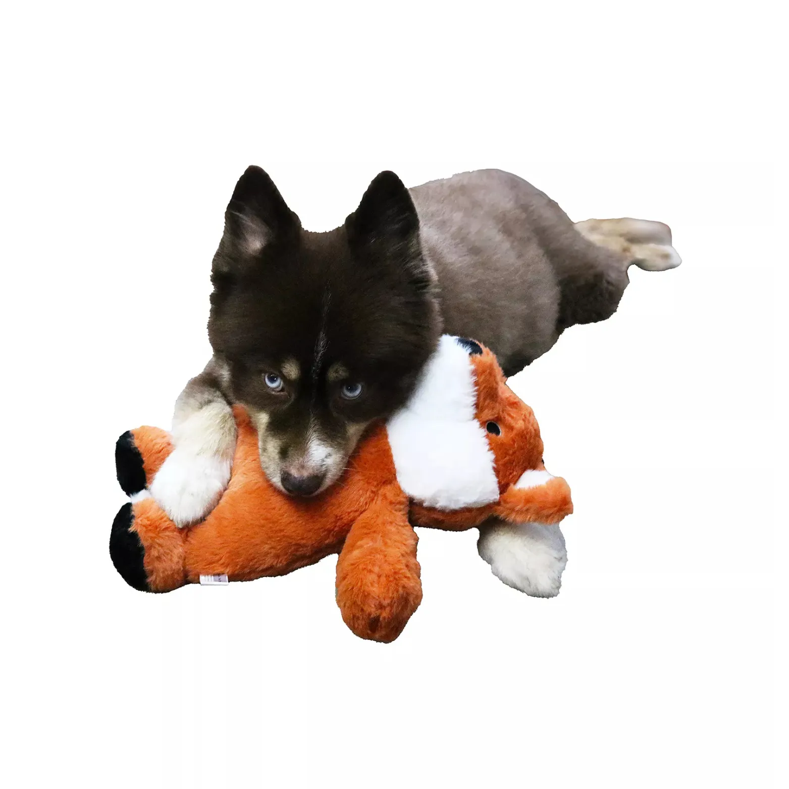 Dogstar Toys Felicia the Fox Plush Dog Toy