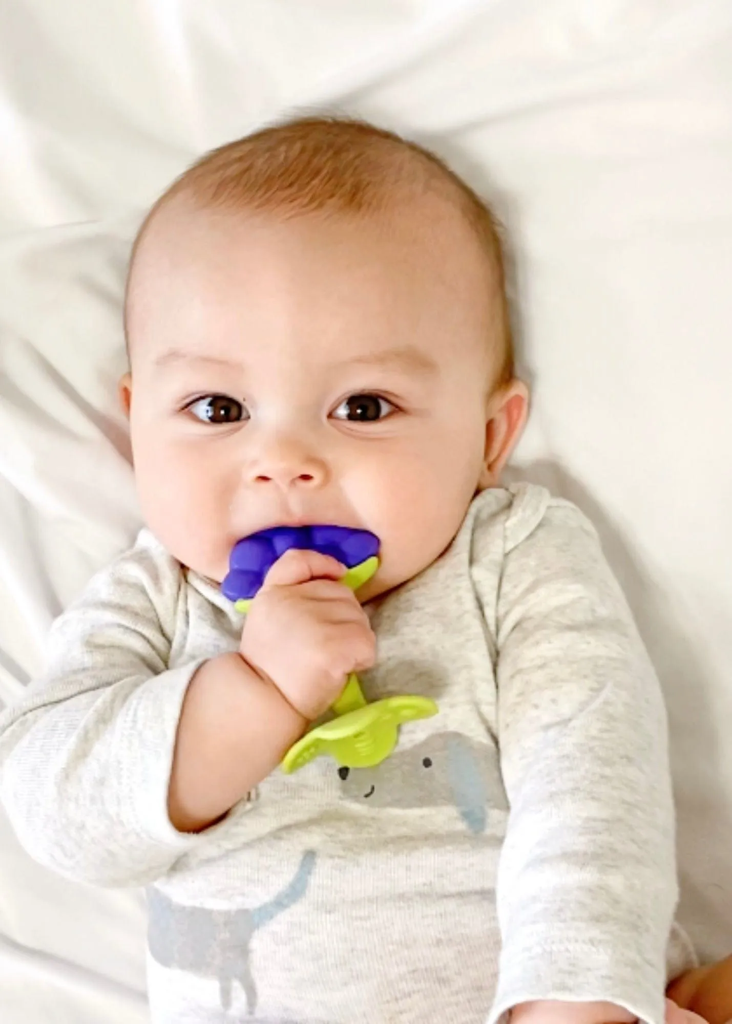 EZ Grip Massaging Teether from Innobaby