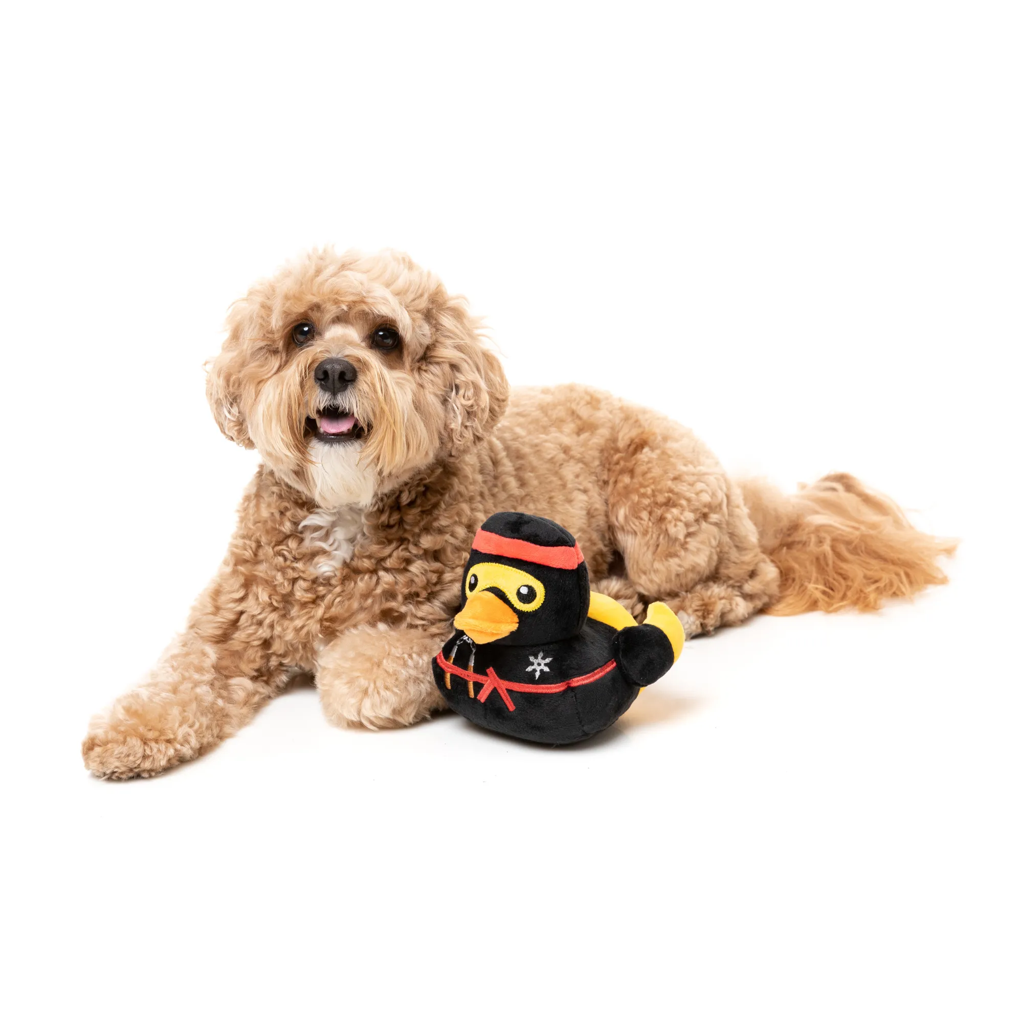 FuzzYard Quackie Chan Dog Toy