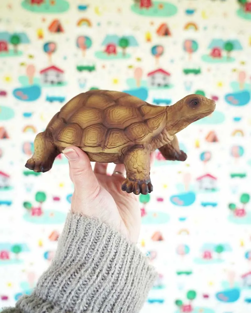 Green Rubber Toys Tortoise