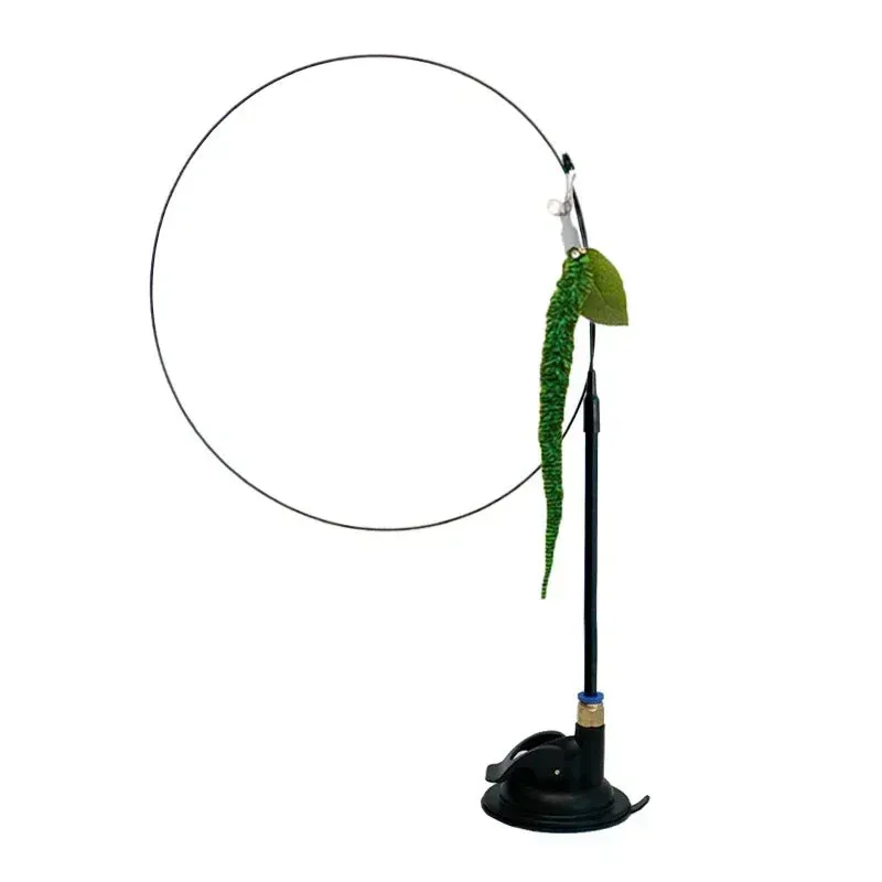 Interactive Peacock Cat Toy with Bell