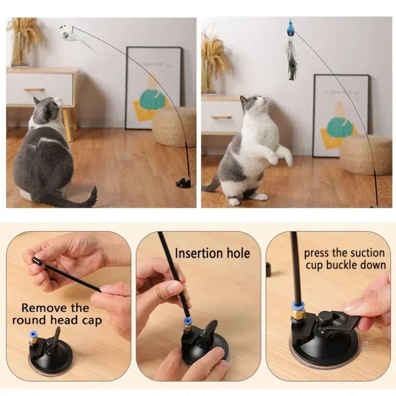 Interactive Peacock Cat Toy with Bell