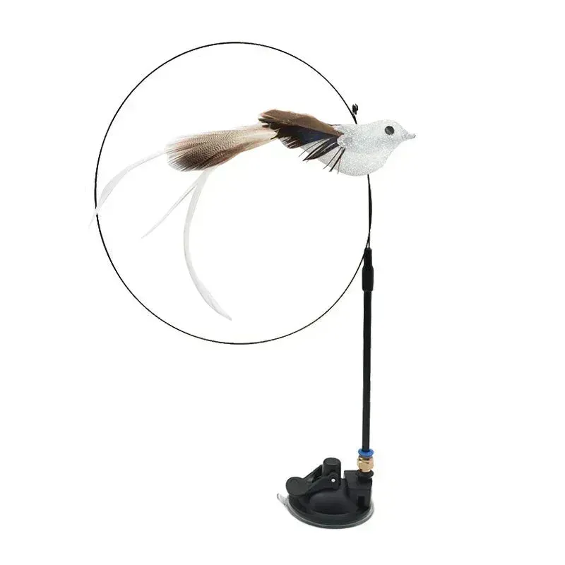 Interactive Peacock Cat Toy with Bell