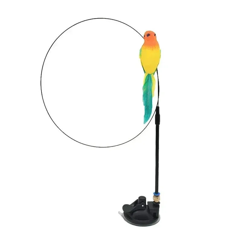 Interactive Peacock Cat Toy with Bell