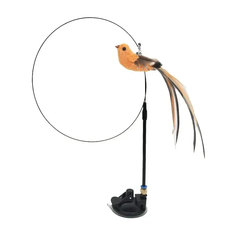 Interactive Peacock Cat Toy with Bell