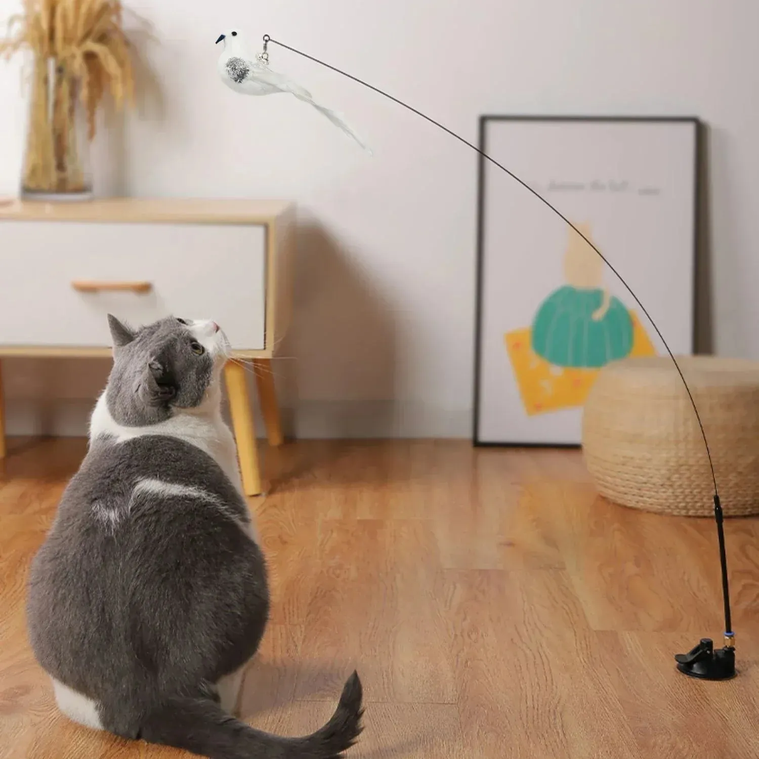 Interactive Peacock Cat Toy with Bell