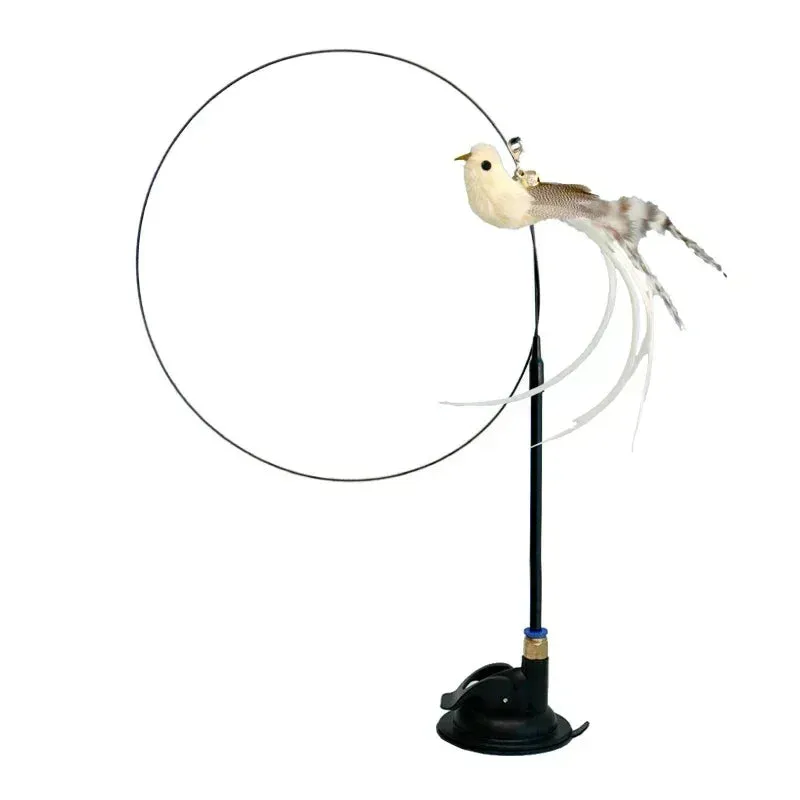 Interactive Peacock Cat Toy with Bell