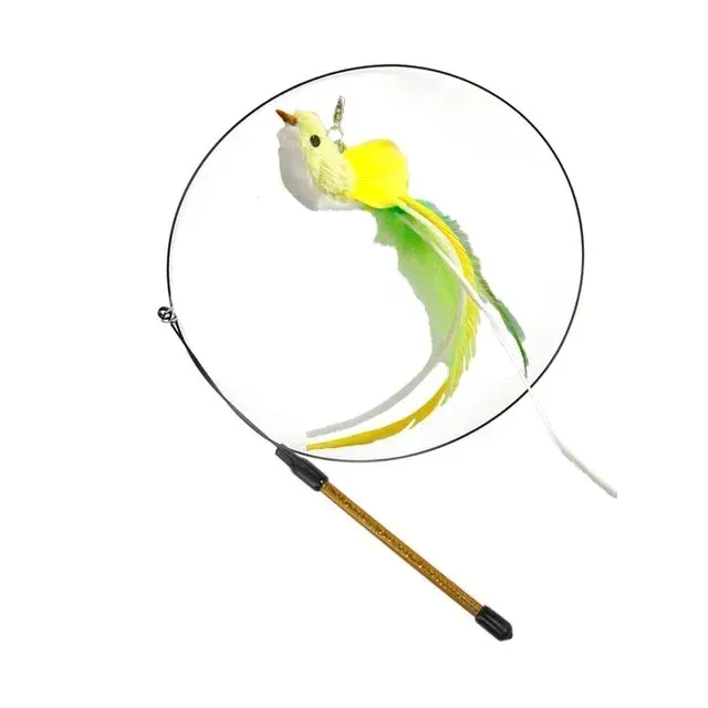 Interactive Peacock Cat Toy with Bell