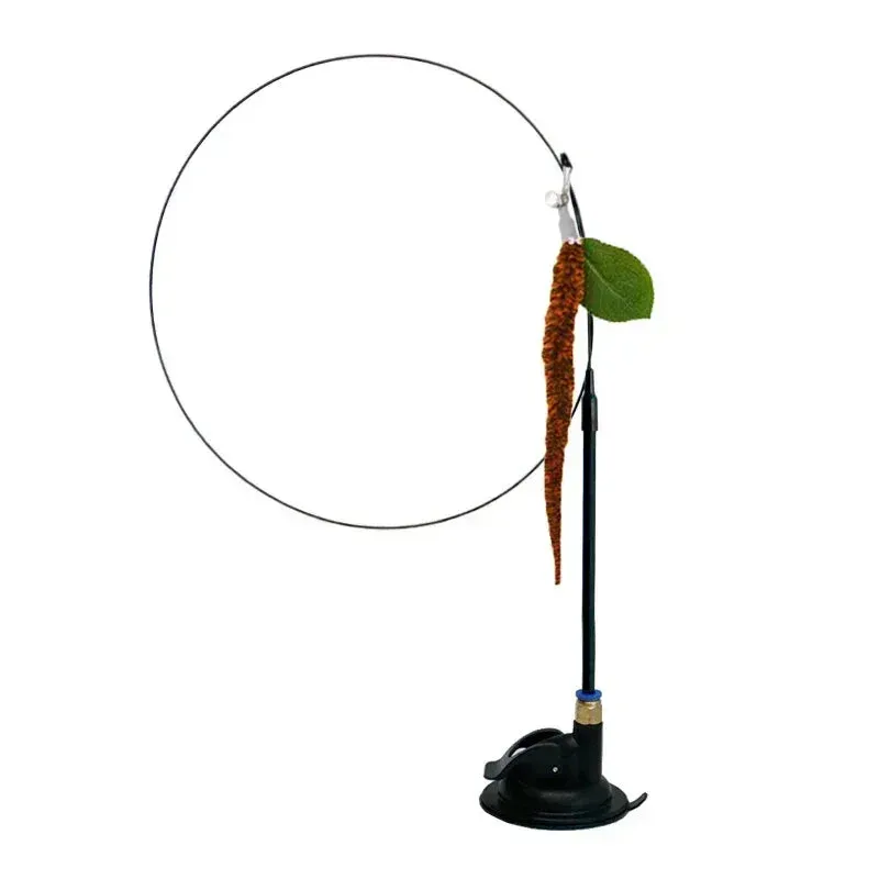 Interactive Peacock Cat Toy with Bell