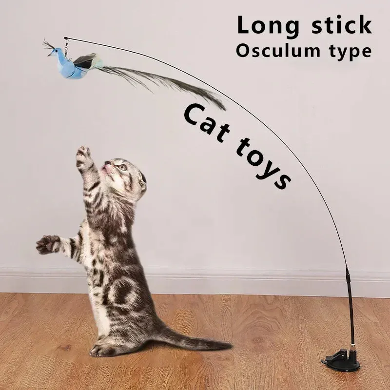 Interactive Peacock Cat Toy with Bell