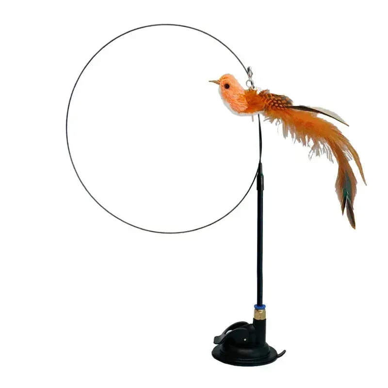 Interactive Peacock Cat Toy with Bell