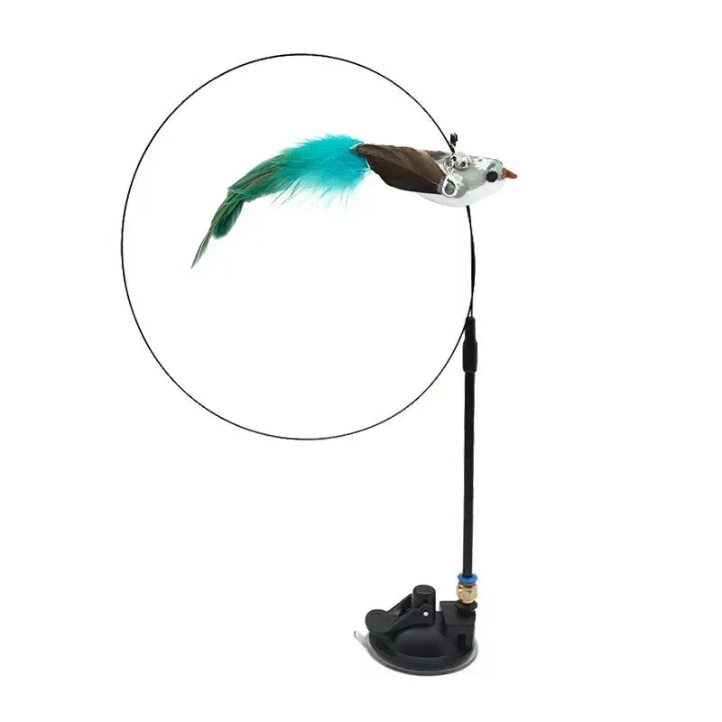 Interactive Peacock Cat Toy with Bell