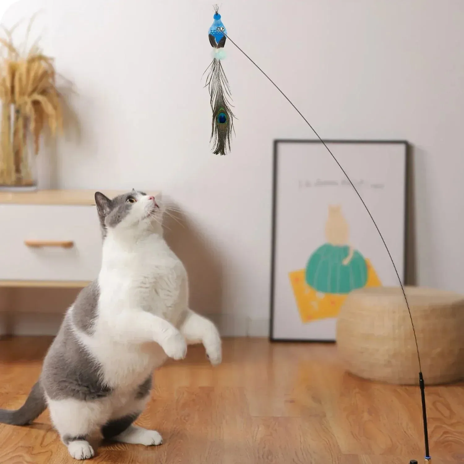 Interactive Peacock Cat Toy with Bell