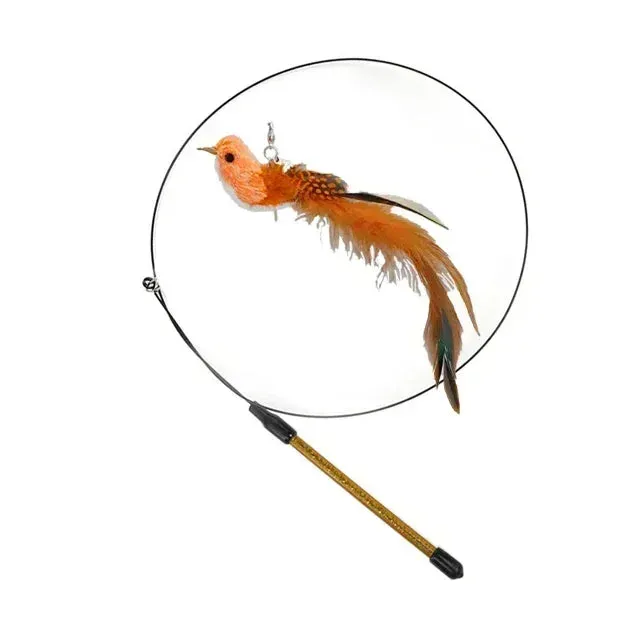 Interactive Peacock Cat Toy with Bell