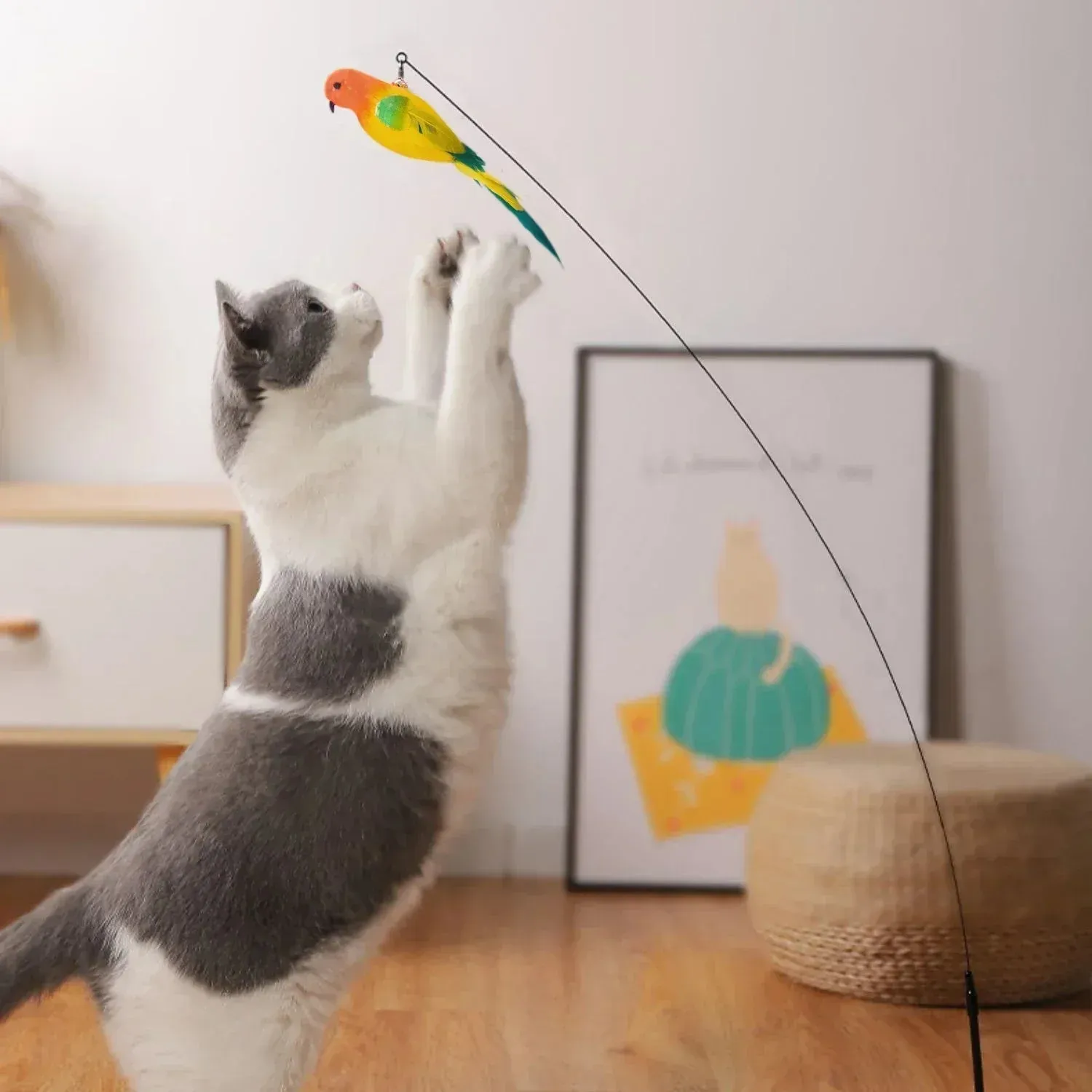 Interactive Peacock Cat Toy with Bell