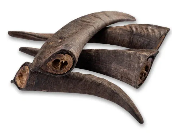 LONG LASTING | Whole Goat's Horn Dental Chews for Large Dogs