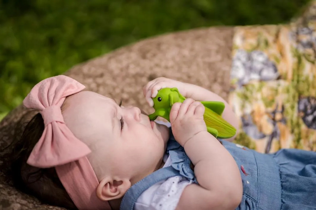 My First Tikiri Teether and Bath Toy - Grasshopper Gift Boxed