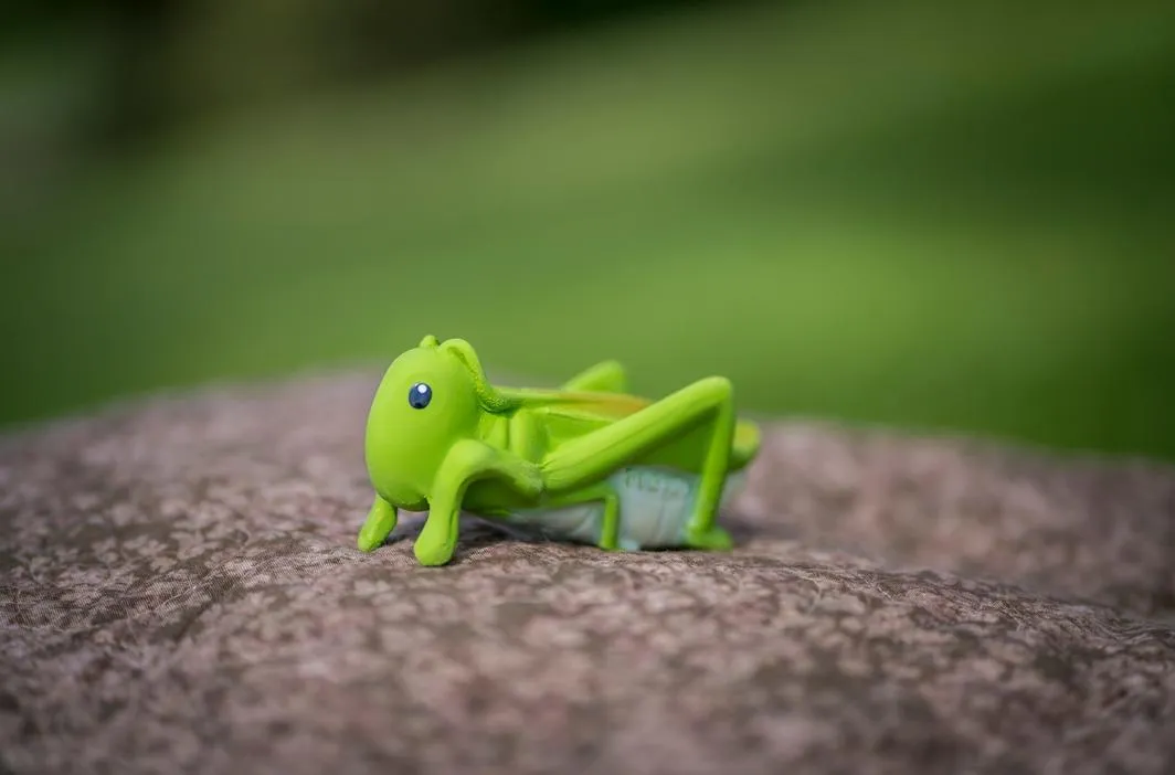 My First Tikiri Teether and Bath Toy - Grasshopper Gift Boxed