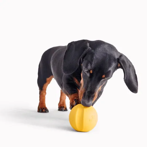 Natural Rubber Dog Ball