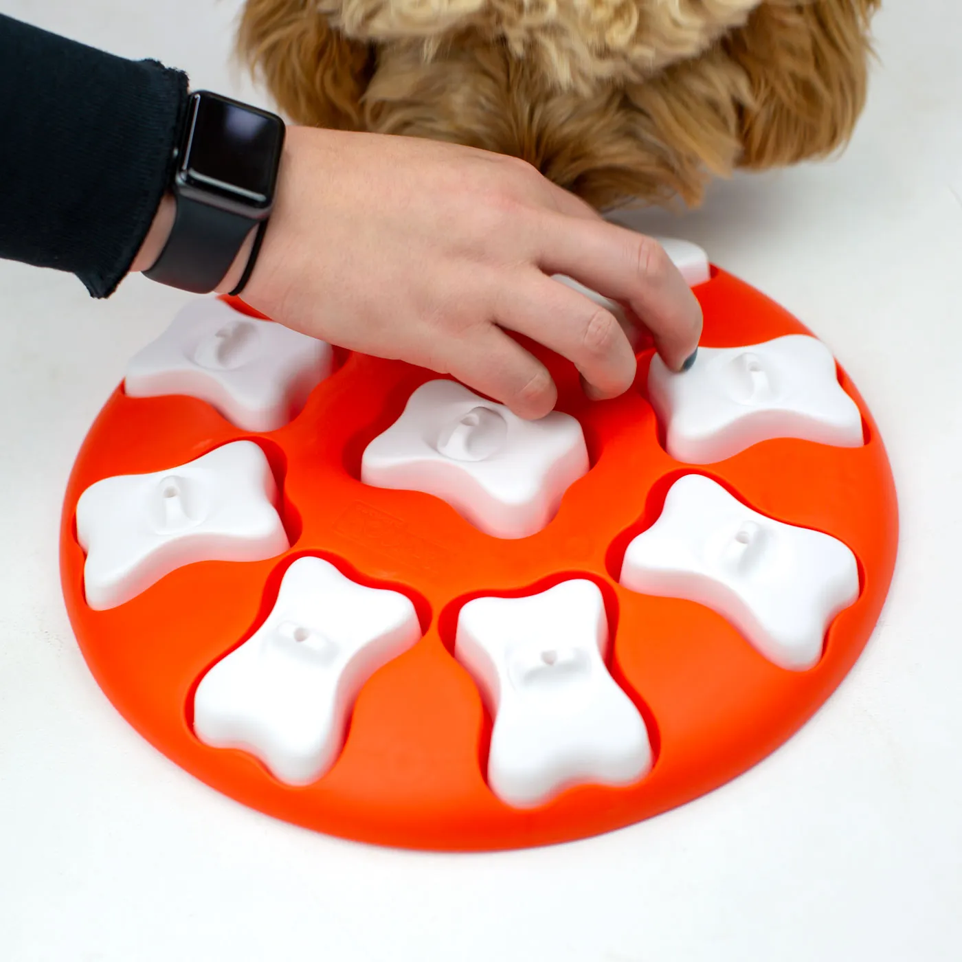 Nina Ottosson Dog Smart Puzzle