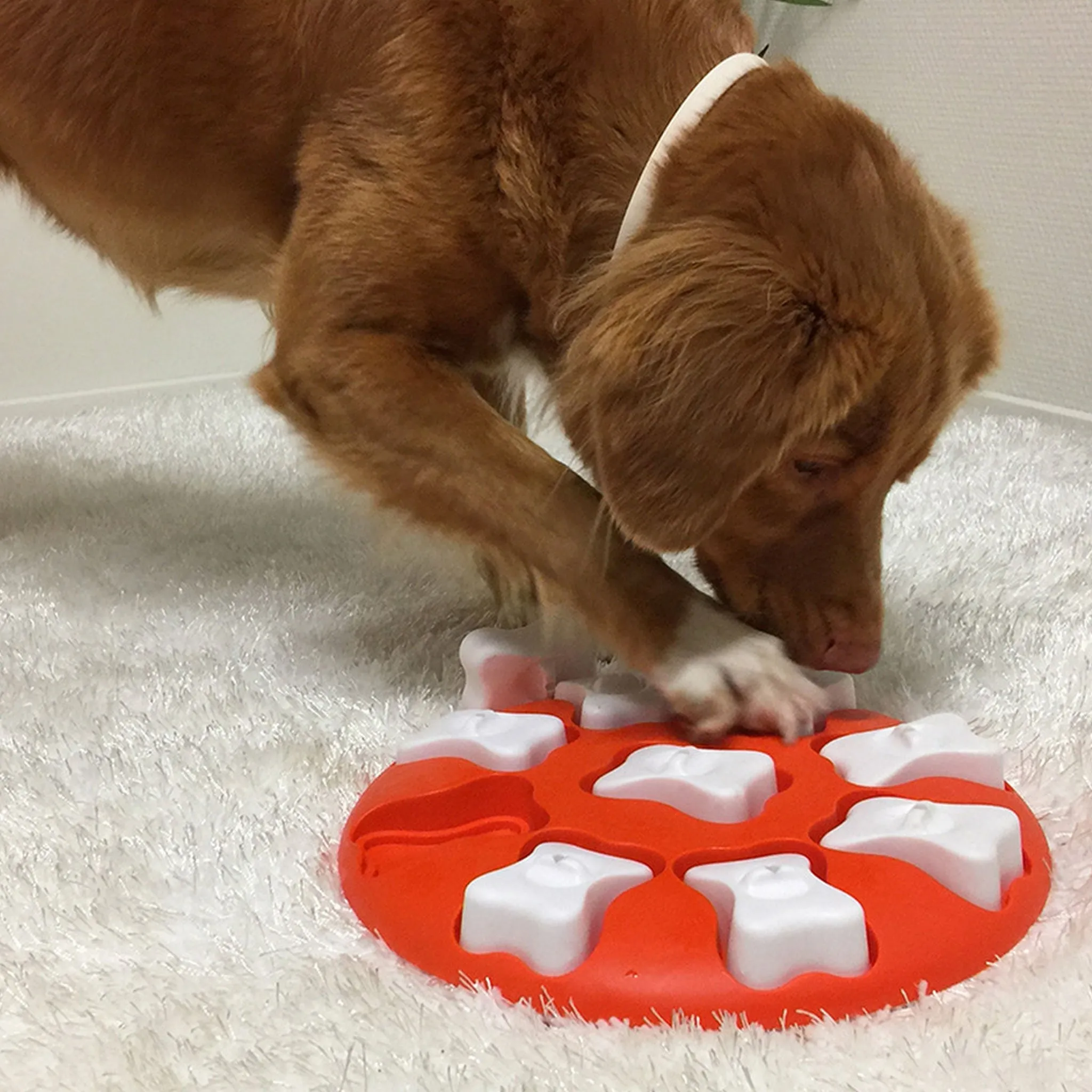 Nina Ottosson Orange Level Easy Dog Puzzle