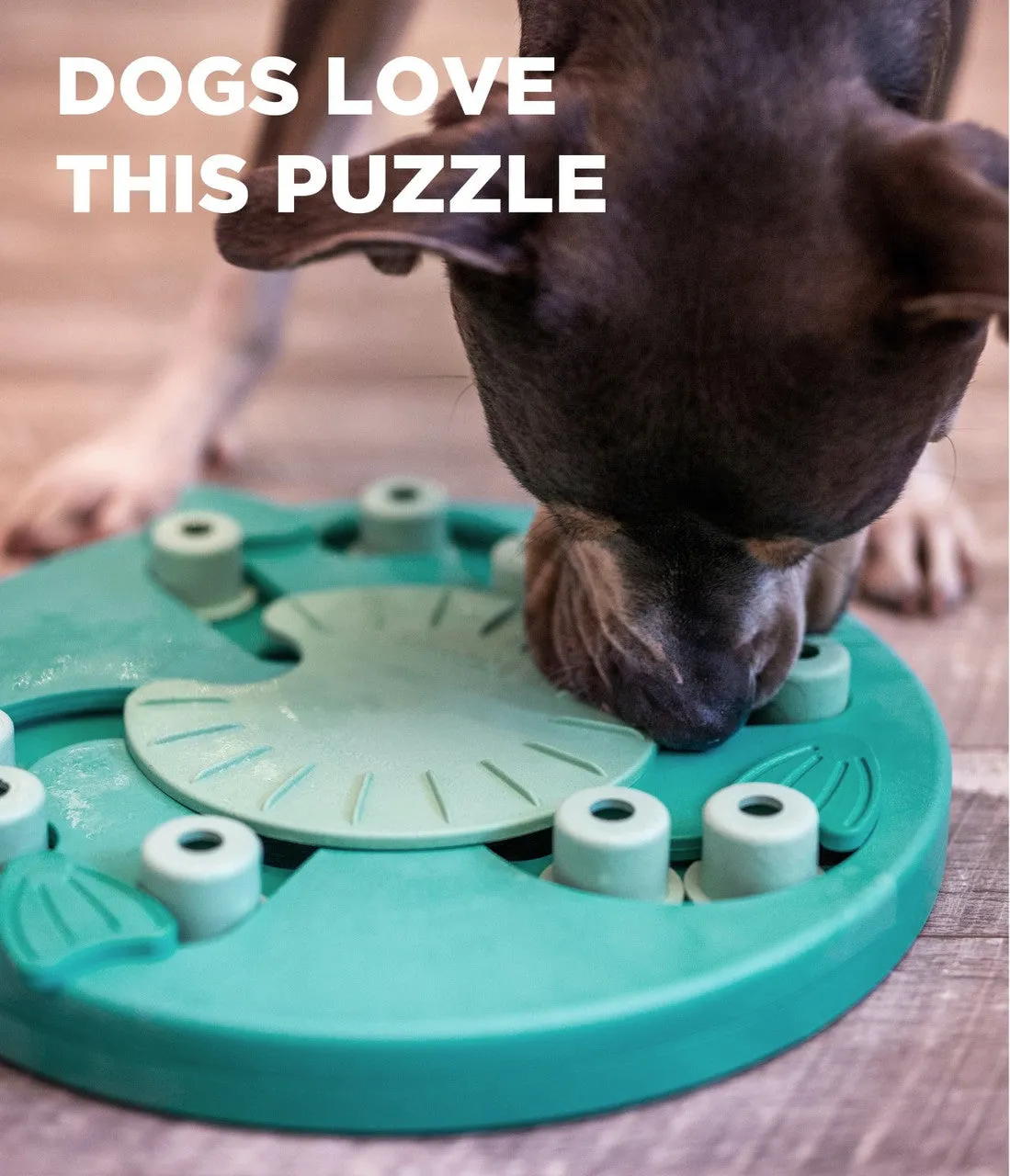 Outward Hound Dog Worker, Interactive Treat Puzzle For dogs