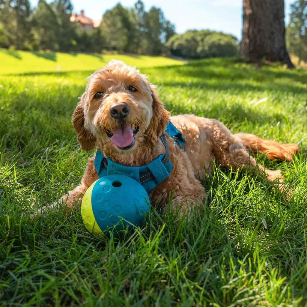 Outward Hound Nina Ottosson Treat Tumble Toy For Dogs - Small (Blue & Yellow)