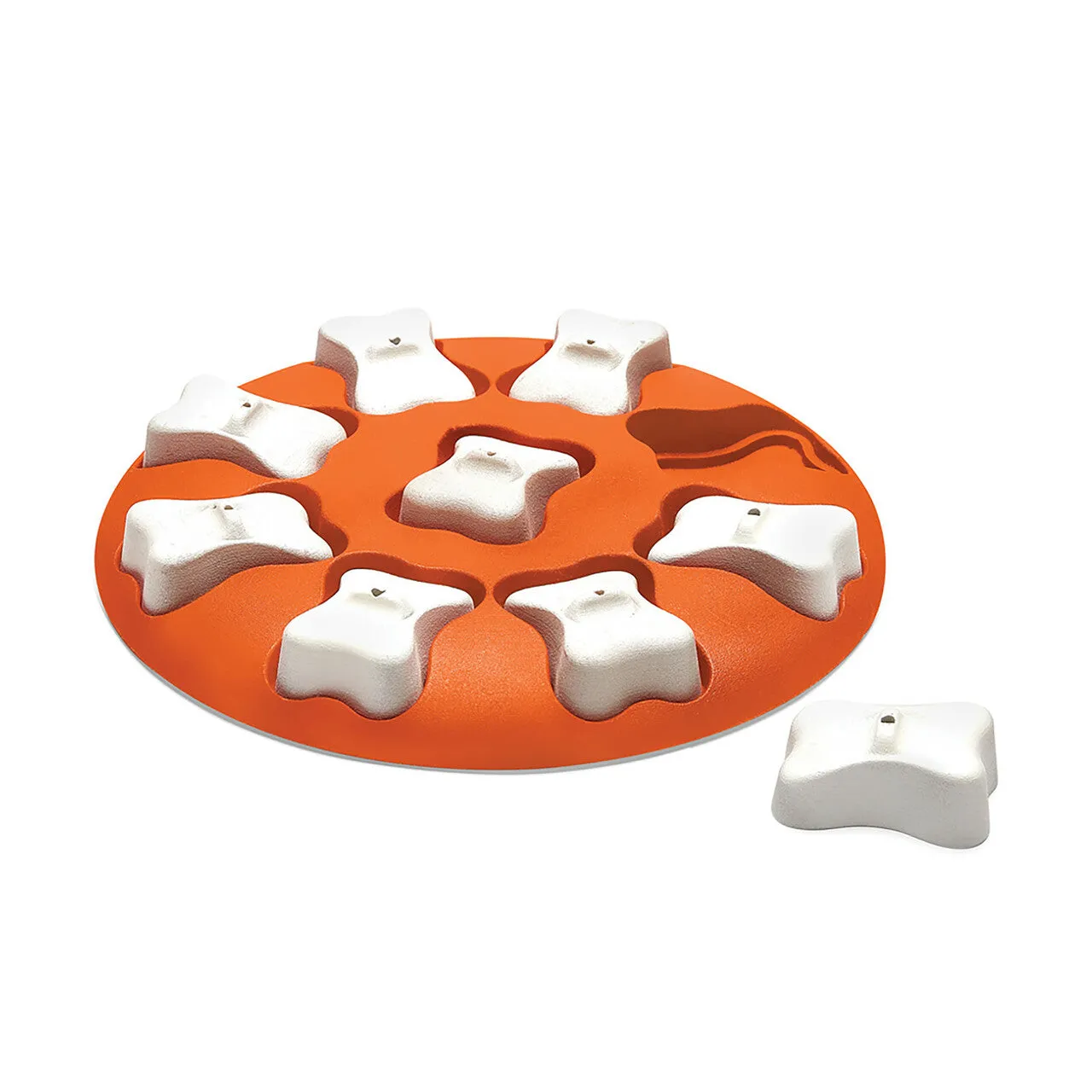 Outward Hound Smart Interactive Treat Puzzle Dog Toy