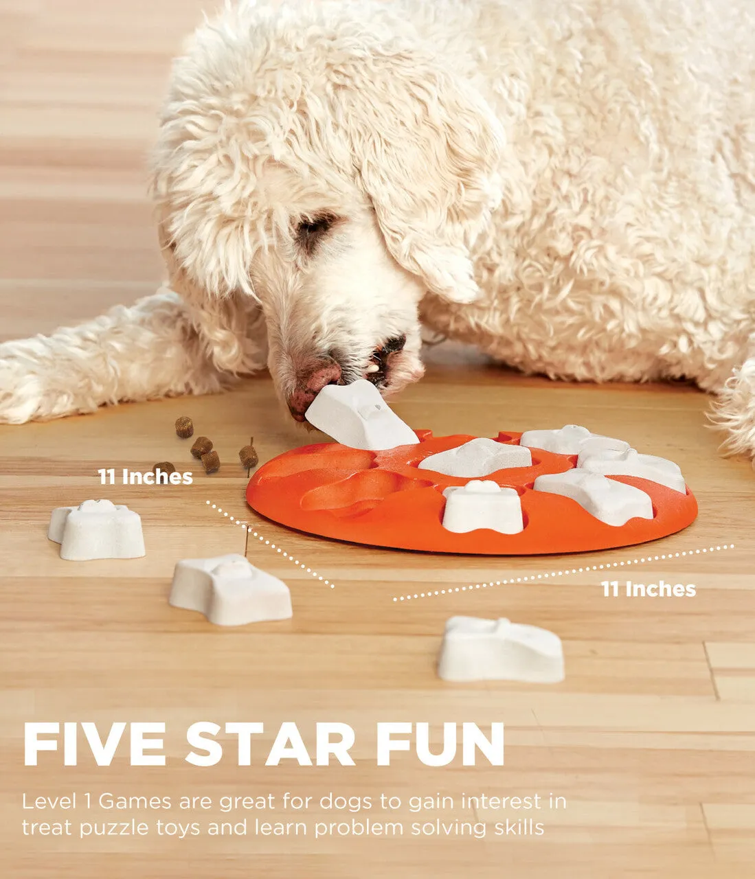 Outward Hound Smart Interactive Treat Puzzle Dog Toy