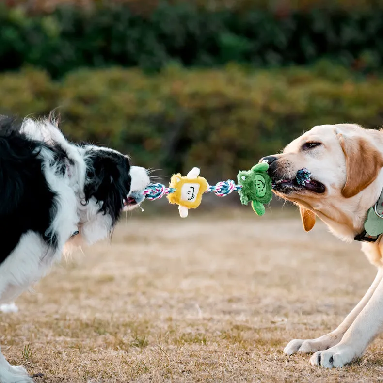 Petkin -  Interactive Monster Tug-of-War Dog Toy