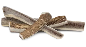 Primal Stag Antler Dog Chew