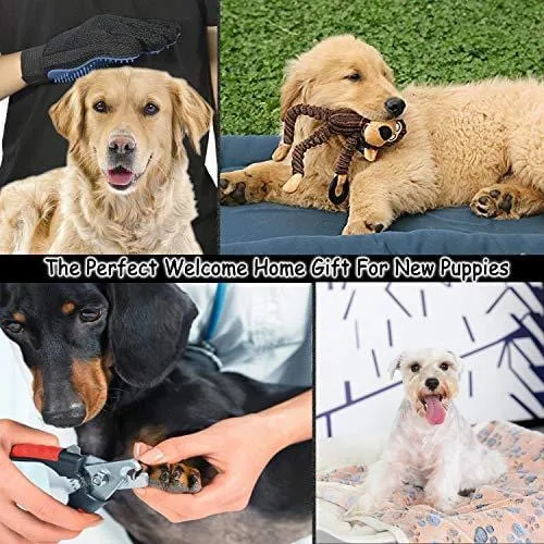 Puppy Starter Kit,12 Piece Dog Supplies Assortments,Set Includes:Dog Toys | Dog Bed Blankets | Puppy Training Supplies | Dog Grooming Tool | Dog Leashes Accessories | Feeding & Watering Supplies