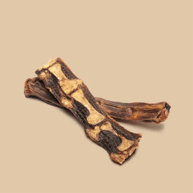 Roam Roo In Two Kangaroo Dog Bone Treat