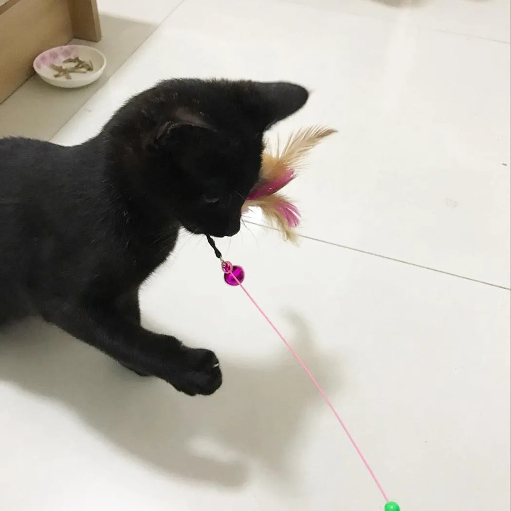 Stick Feather Wand Cat Toy