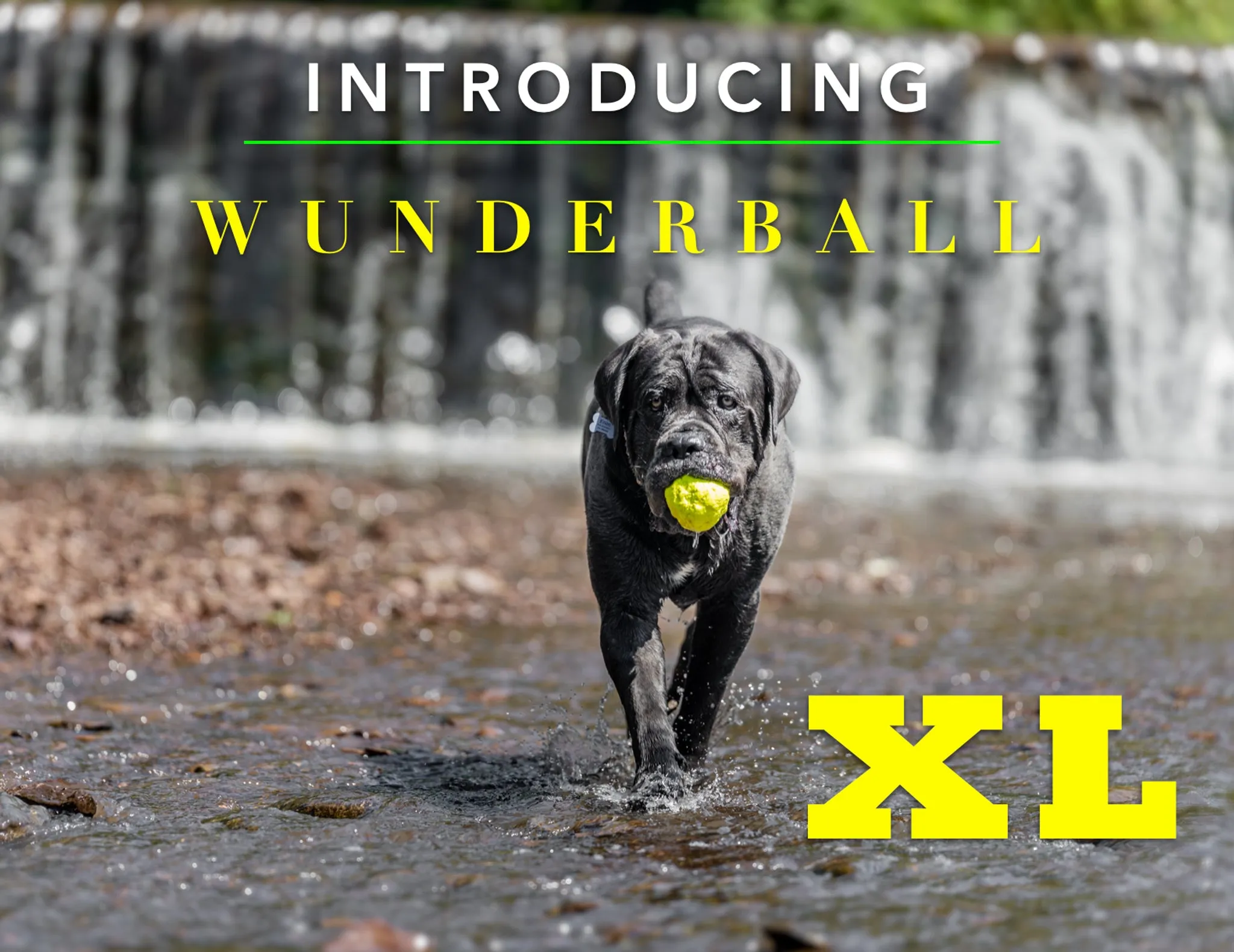 Wunderballs